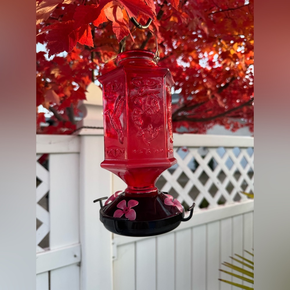 Red Glass Hummingbird Feeder - Picture 4 of 7